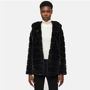 Apparis Goldy Coat